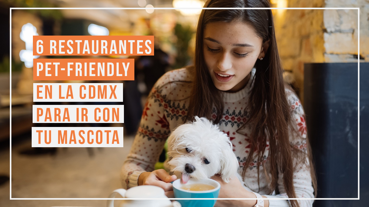 6 restaurantes pet-friendly en la CDMX para llevar a tu mascota