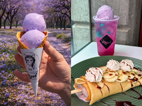 Meyvi Helados